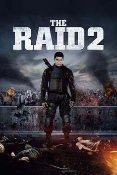 The Raid 2: Berandal